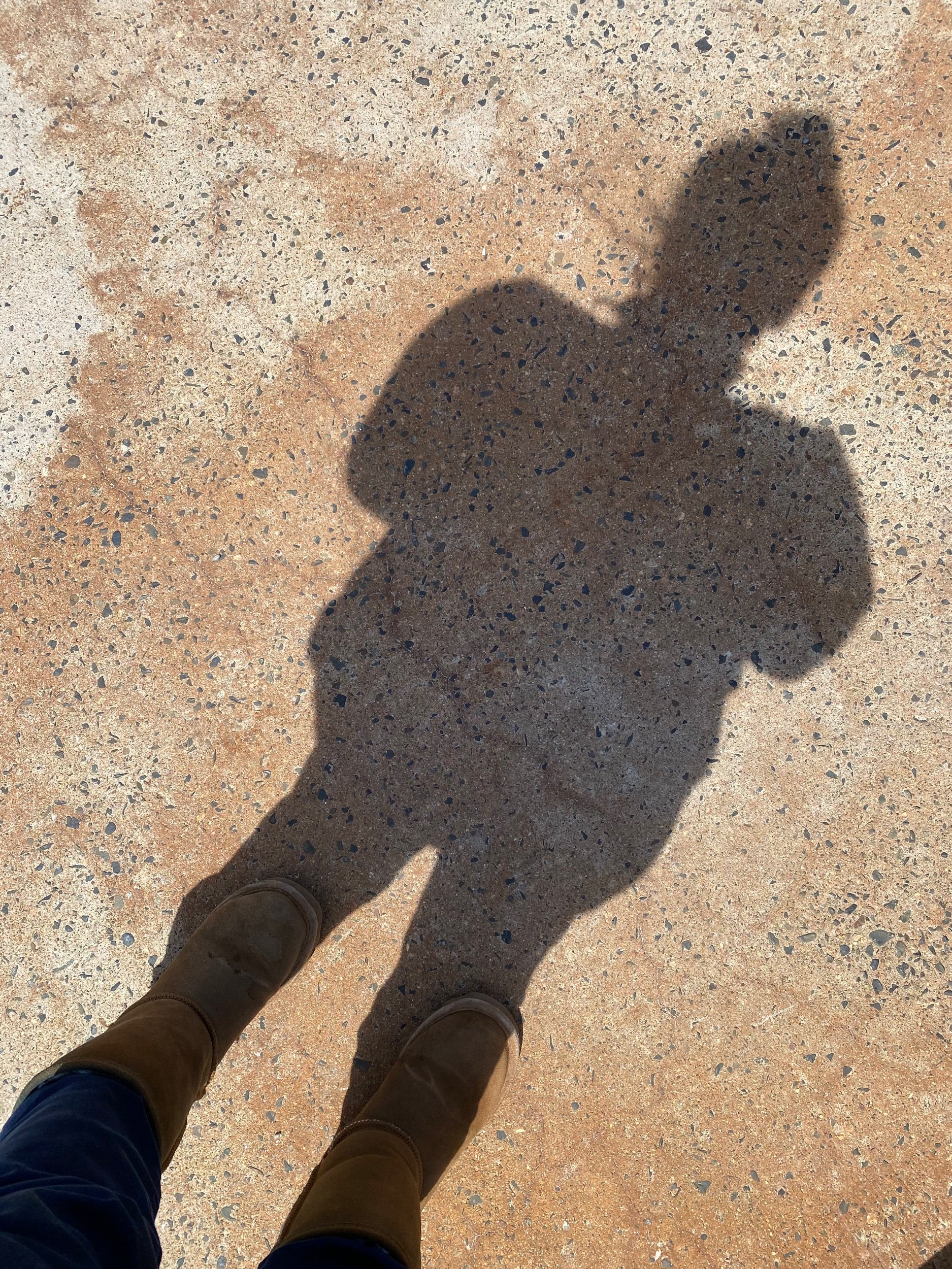 2022-05-08 12.10.11.jpeg