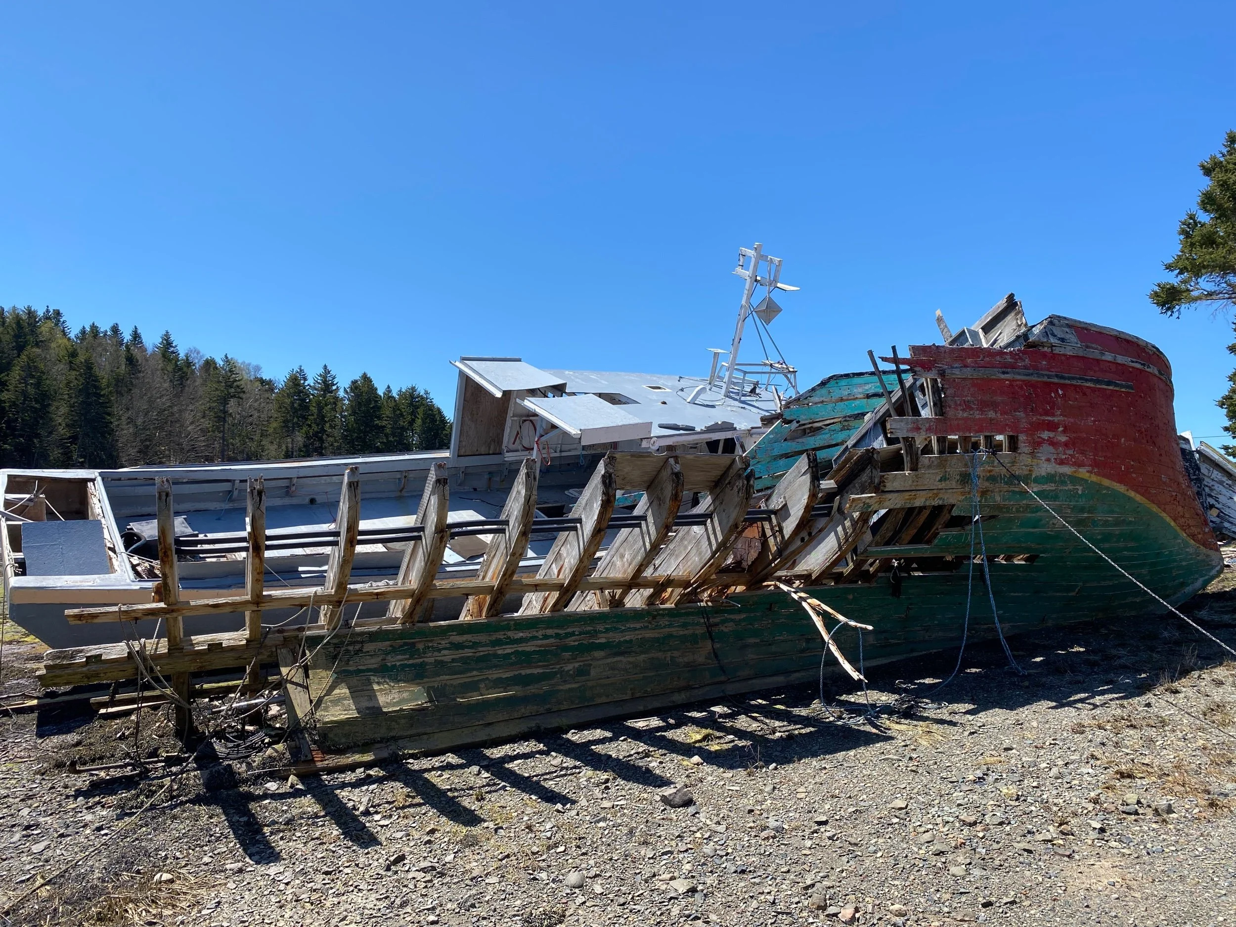 2022-05-11 11.18.20.jpeg