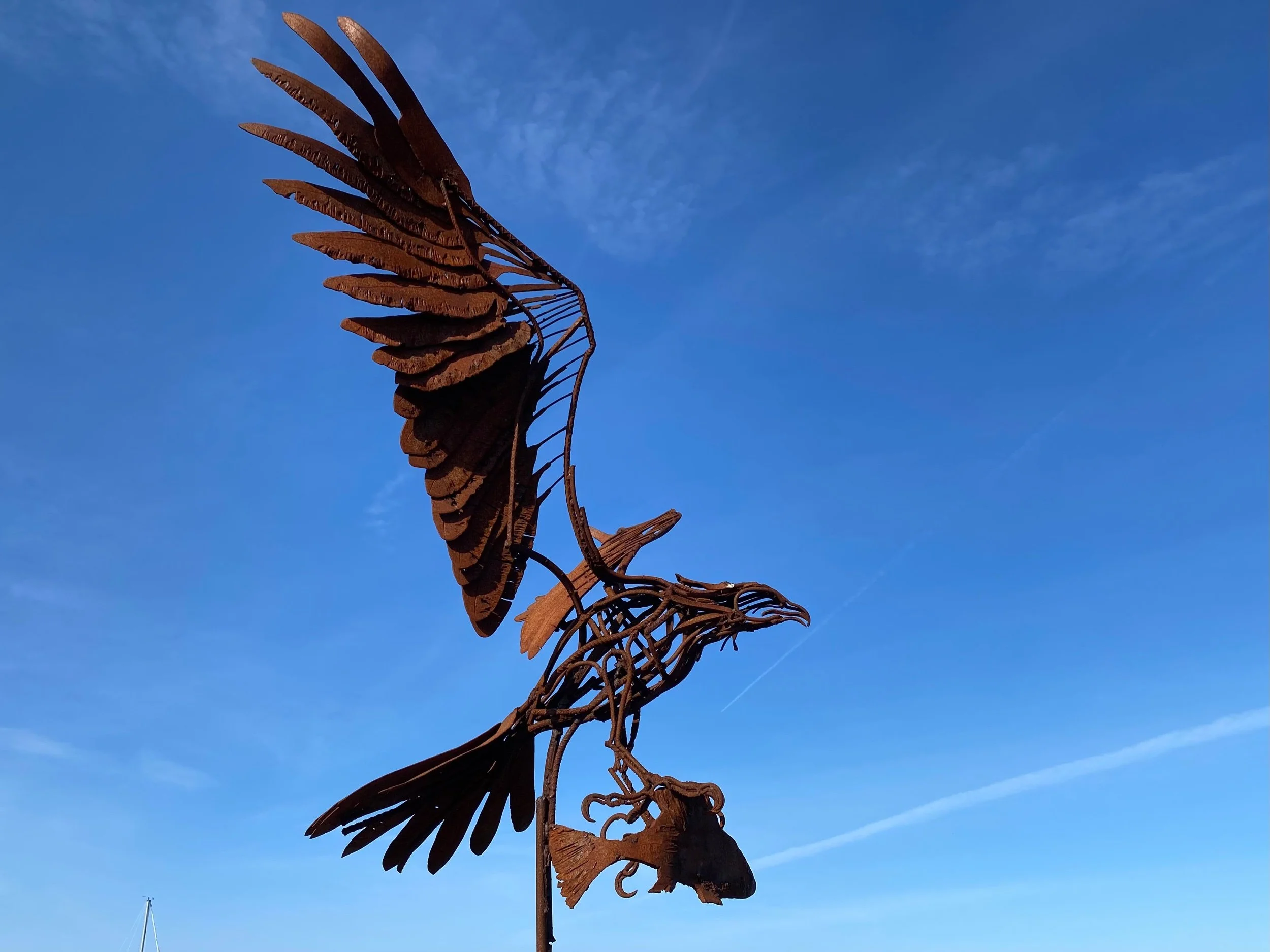 2022-05-24 17.15.51.jpeg