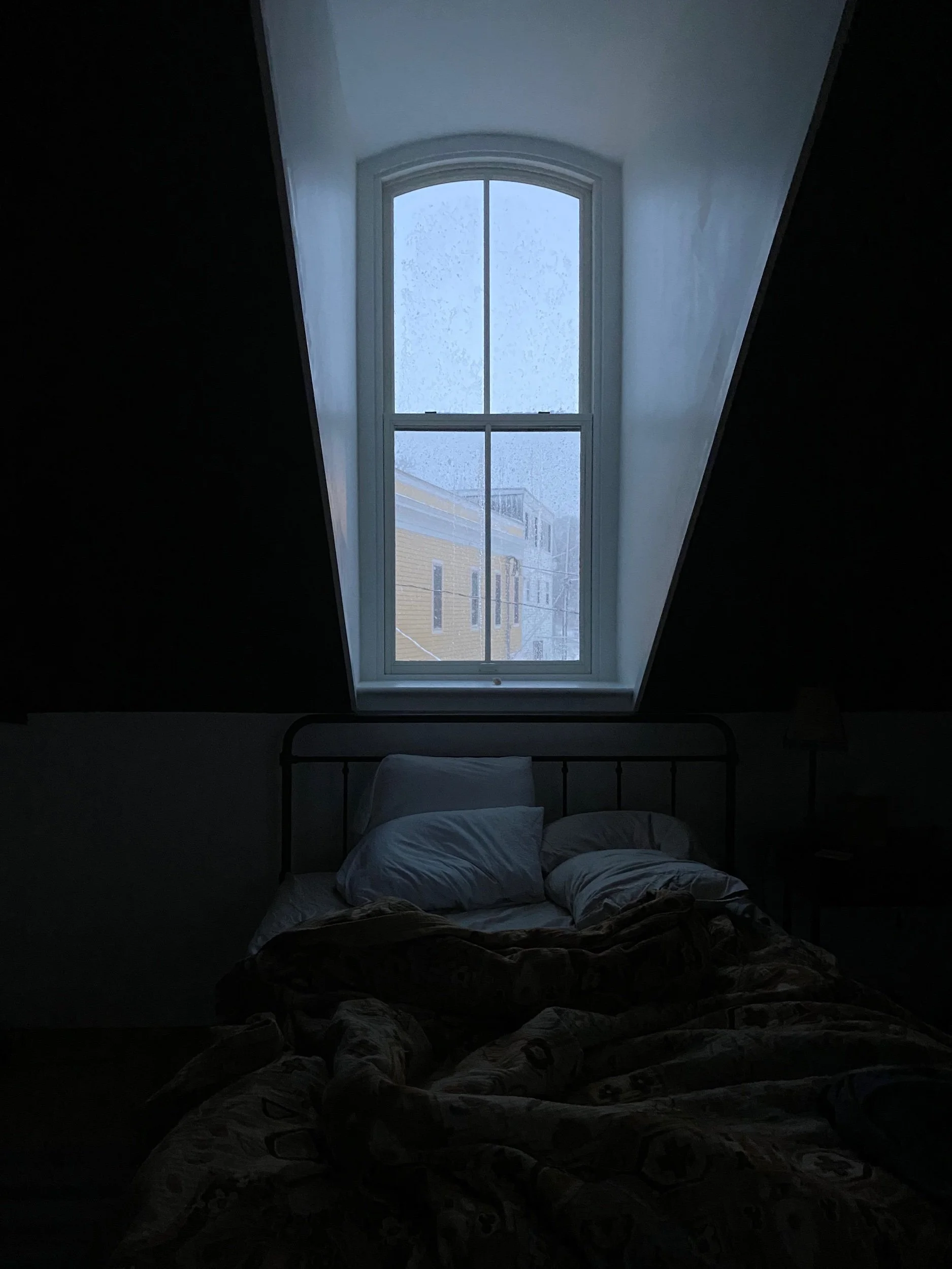 photo dec 19, 6 58 42 am.jpeg