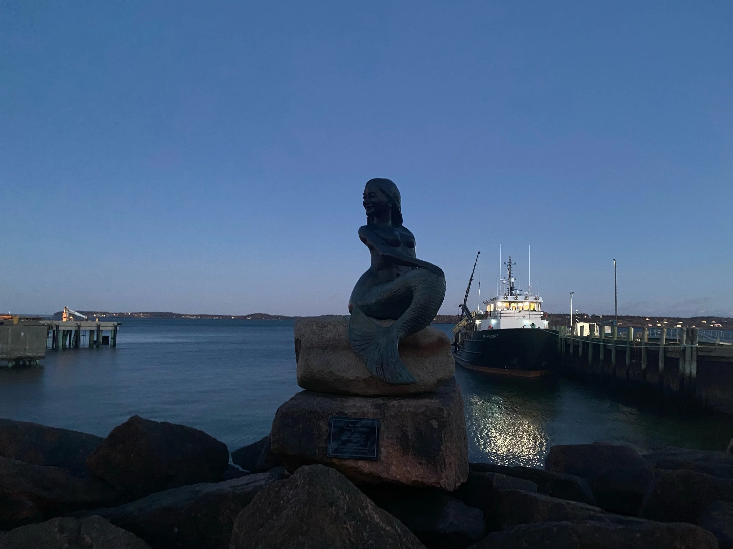 photo dec 24, 4 21 35 pm (1).jpeg