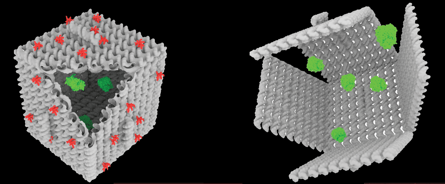 dna origami single molecule