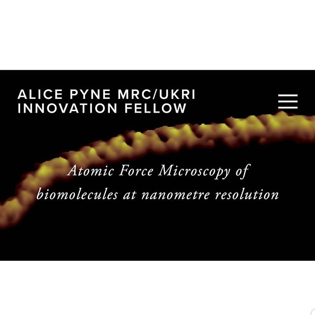 Visit our website for the latest updates about our group and research!
https://www.alicepyne.com
__________
#research #researchgroup #website #dna #afm #biophysics #biomolecules #ucl #lcn