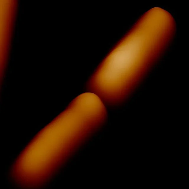 Some non-DNA work. Dividing E.coli bacteria imaged by AFM.
_______
#AFM #image #microscopy #bacteria #ecoli #divising #biology #science #stem #life #research