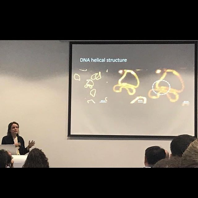 On the 3rd of July, we attended the Microscience Microscopy Congress 2019 (#mmc2019) held in Manchester.
1) Alice presenting her talk 'Untangling DNA, One Molecule at a Time' during the SPM of Soft and Biological Matter session
2) Kavit presenting his talk on Supercoiled DNA - Topoisomerase Interactions during the SPM: A tool for Pharmaceutical and Applied Biological/Biomedical Research
#mmc2019 #manchester #microscopy #conference #research #biophysics #stem #dna #structure #topoisomerases #cancer #amr