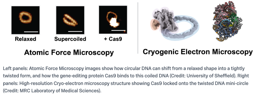 New Nature Paper on CRISPR/Cas9! 