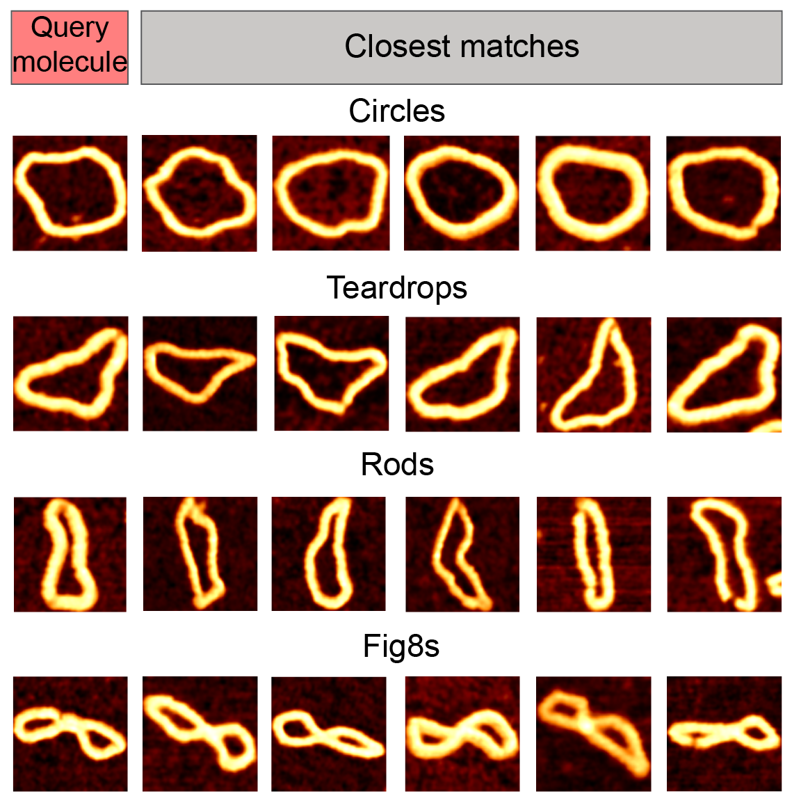 New paper on mapping the conformational landscape of DNA minicircles