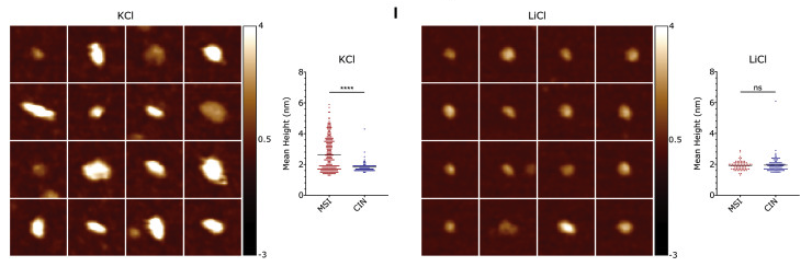 Screenshot 2026-04-07 at 16.18.36.png