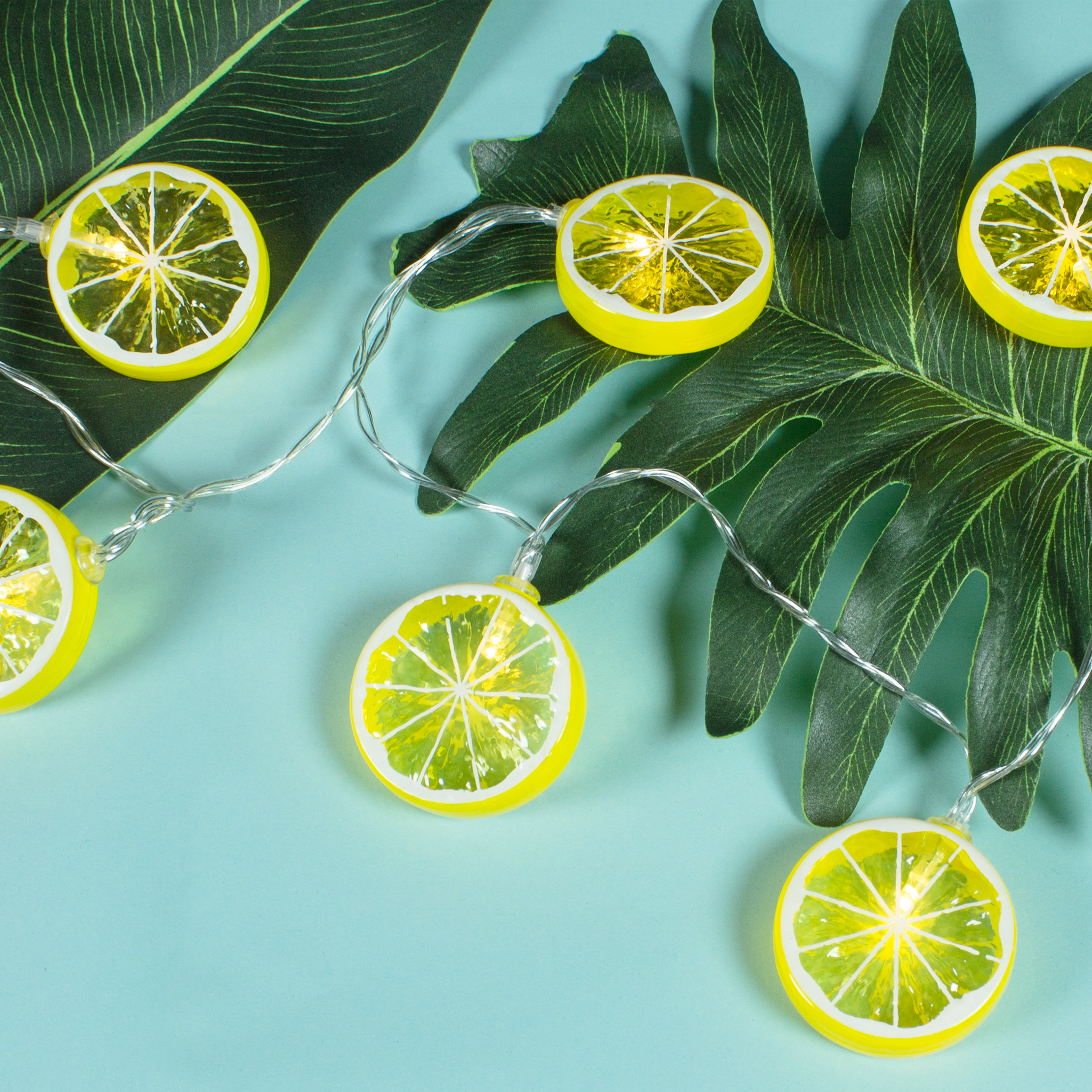 LemonSliceStringLights.jpg