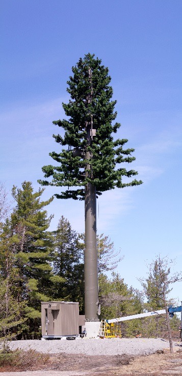image6.jpg