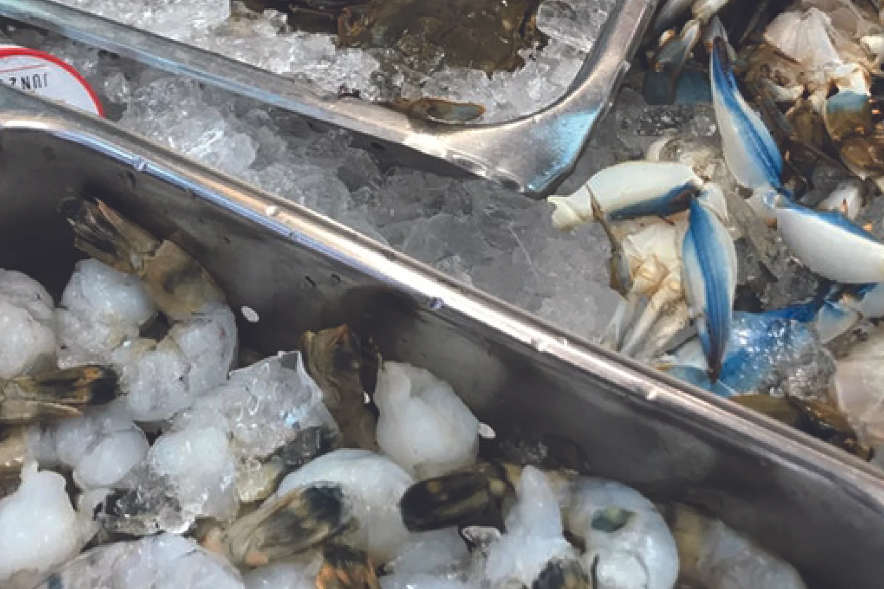 seafood.jpg