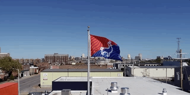 flag.gif