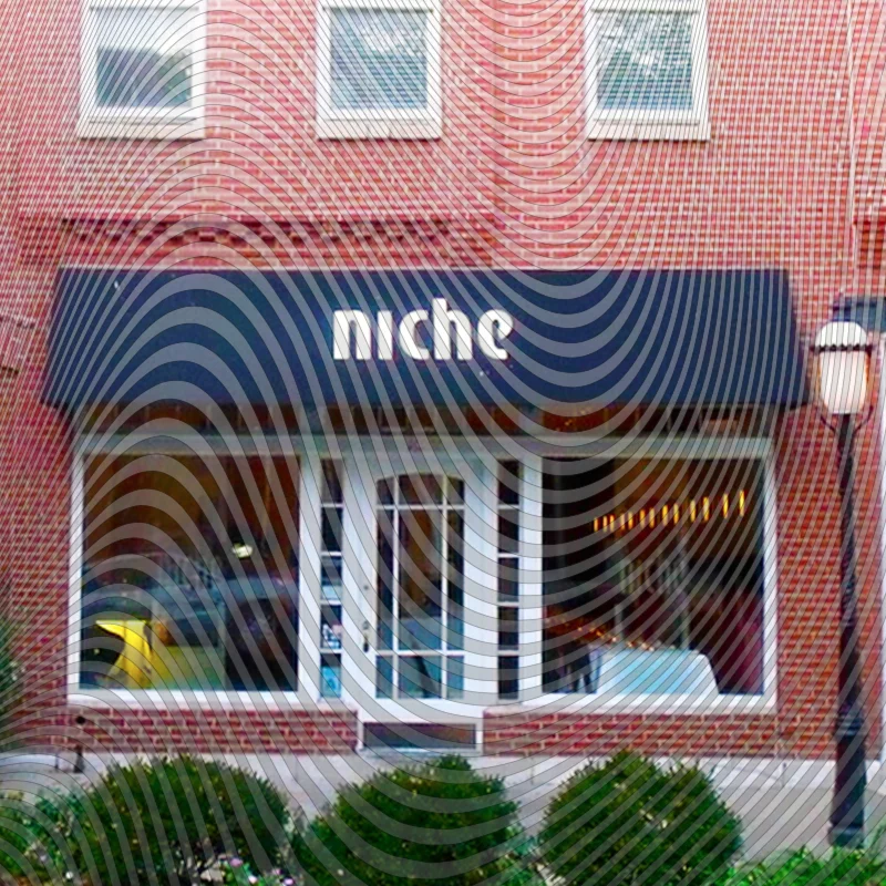 niche copy.jpg