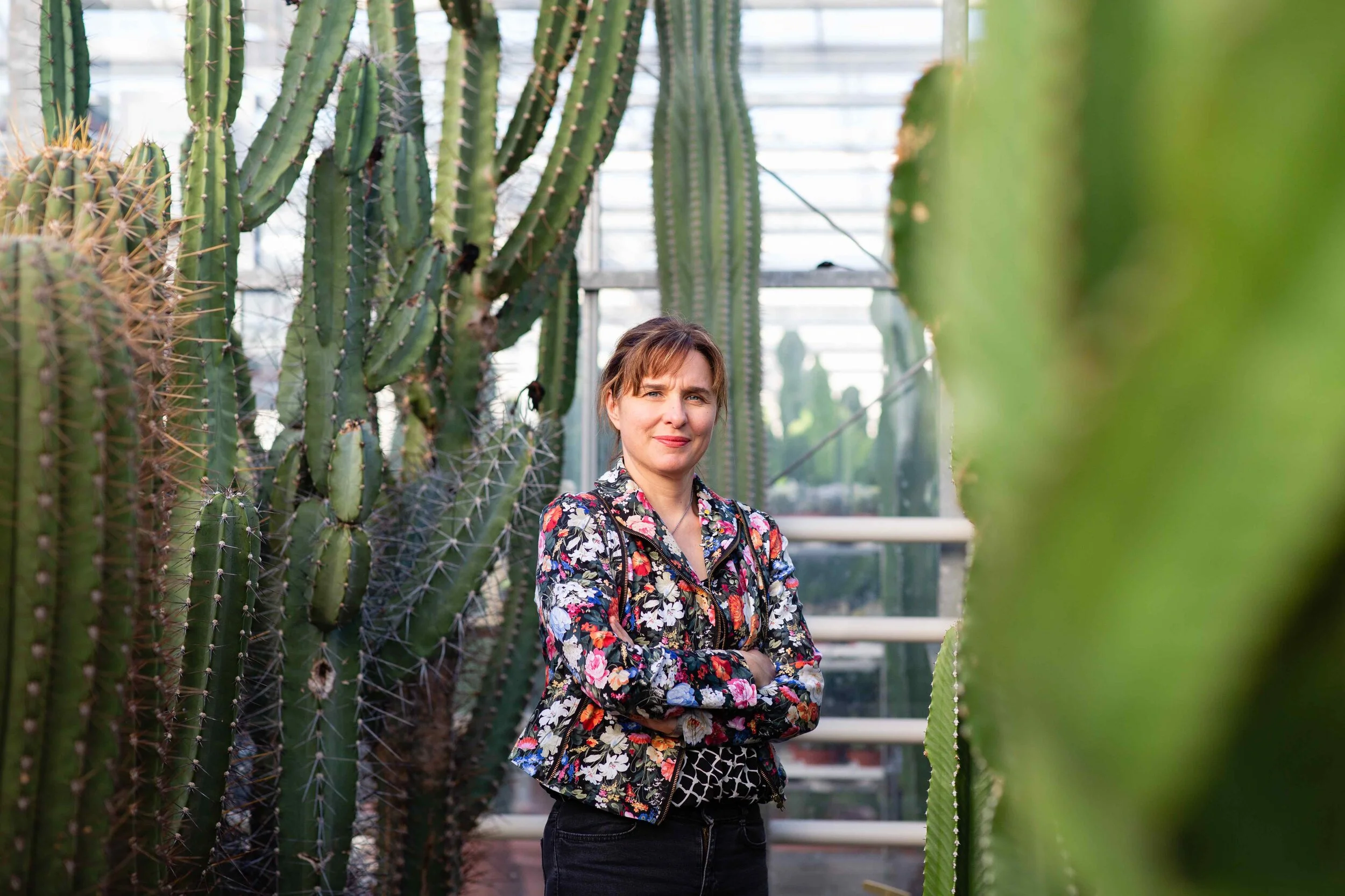 How to choose the best houseplants for your home, with Jane Perrone of On The Ledge Podcast - Podcast Show Notes S4 E3