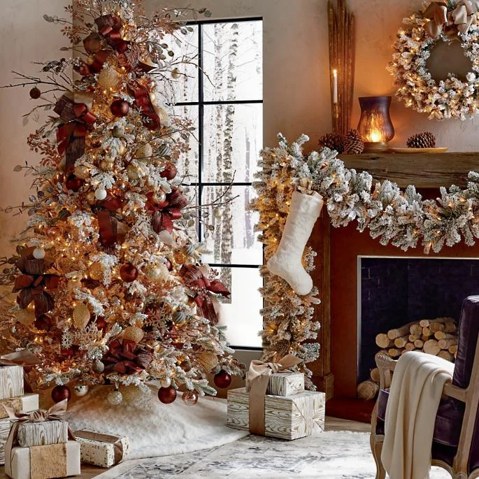 Rustic Wonder