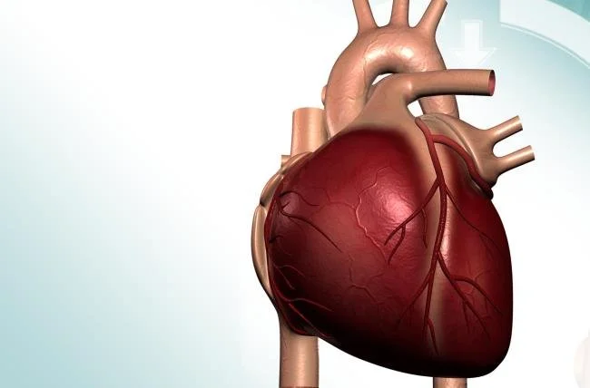 Academic Half Day: Heart Failure (HFrEF)