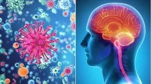 Academic Half Day: Meningitis