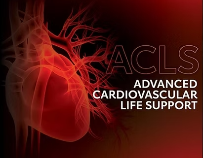 Academic Half Day: ACLS