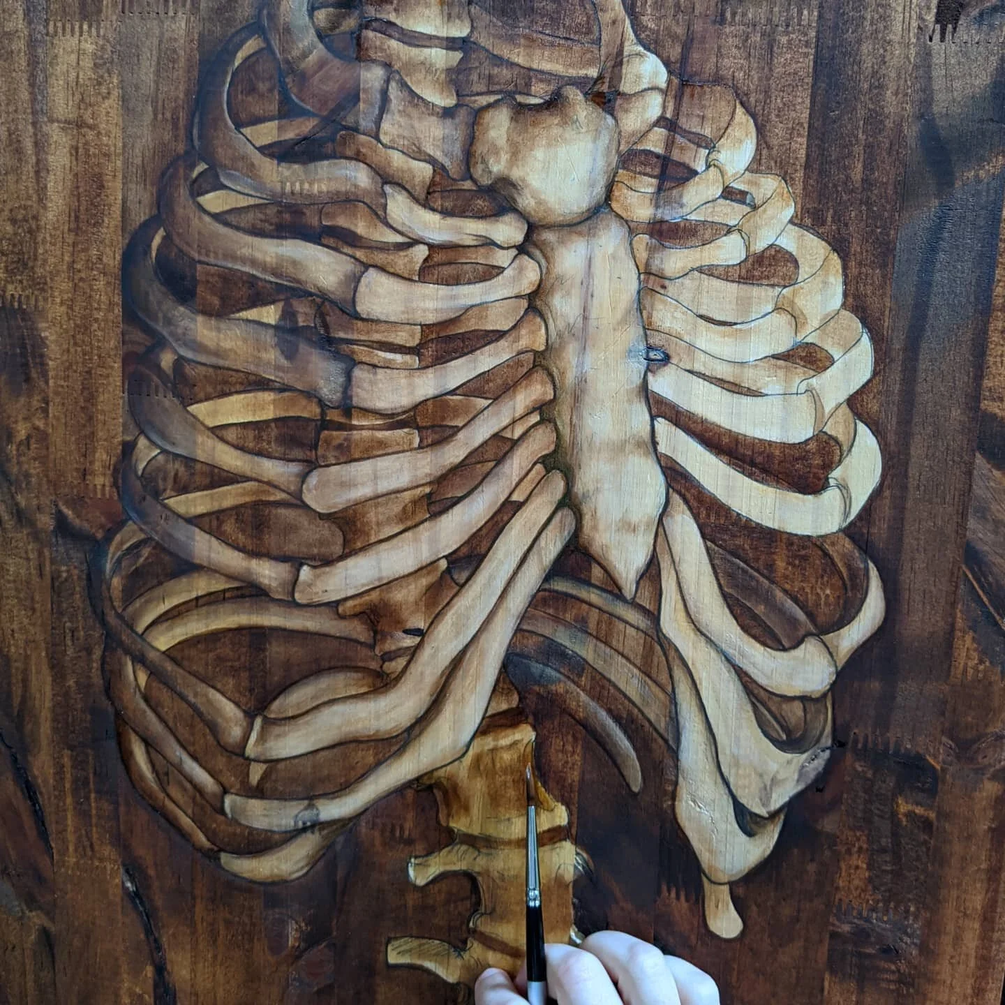 I wish I could work faster (or at least give up sleep). Do you enjoy progress shots or are you more a finished piece type of person? I have so many WIPS on the table. But my current muse is this one right here.
.
I want to add some bugs (pretty bugs