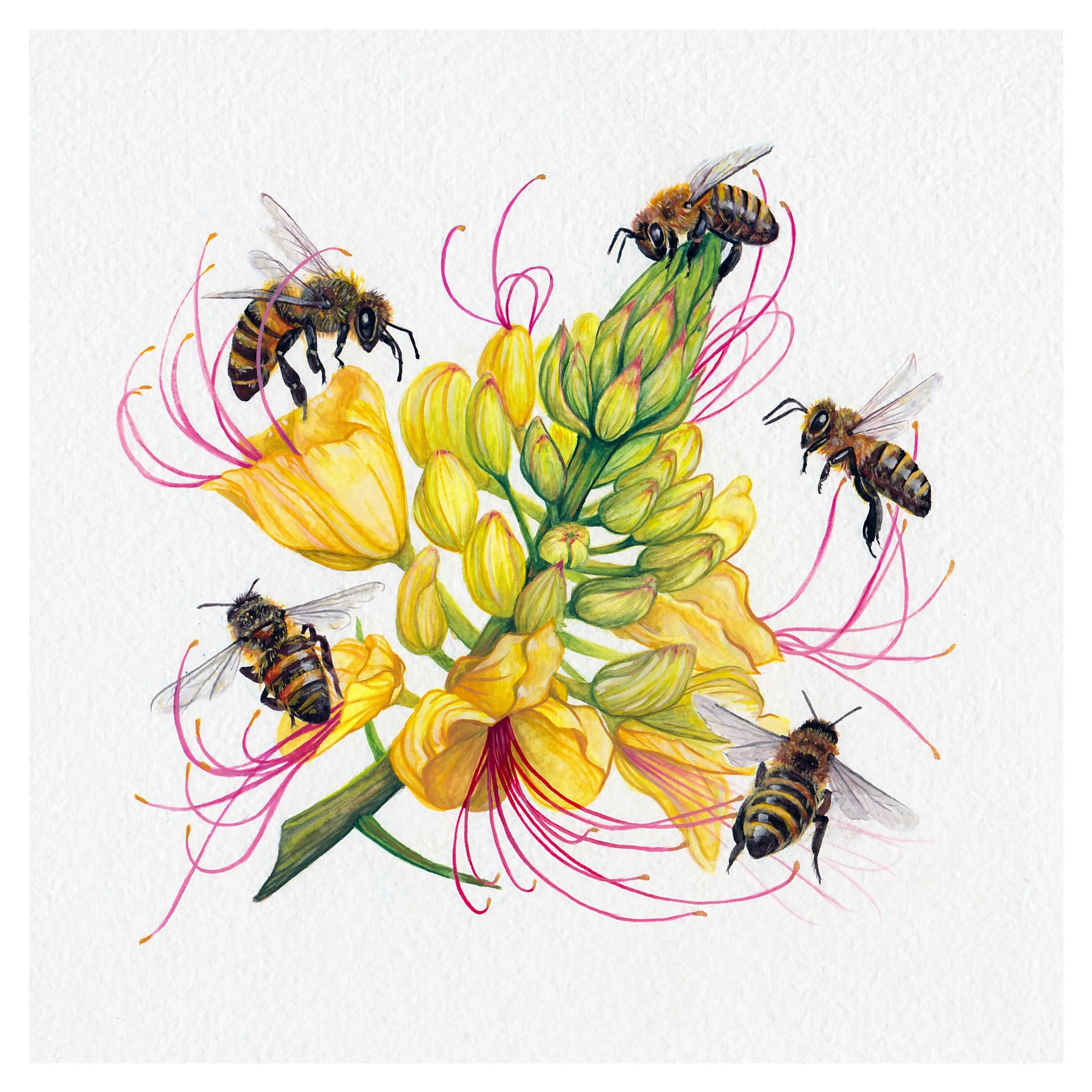 summers touch.8x8.jpg