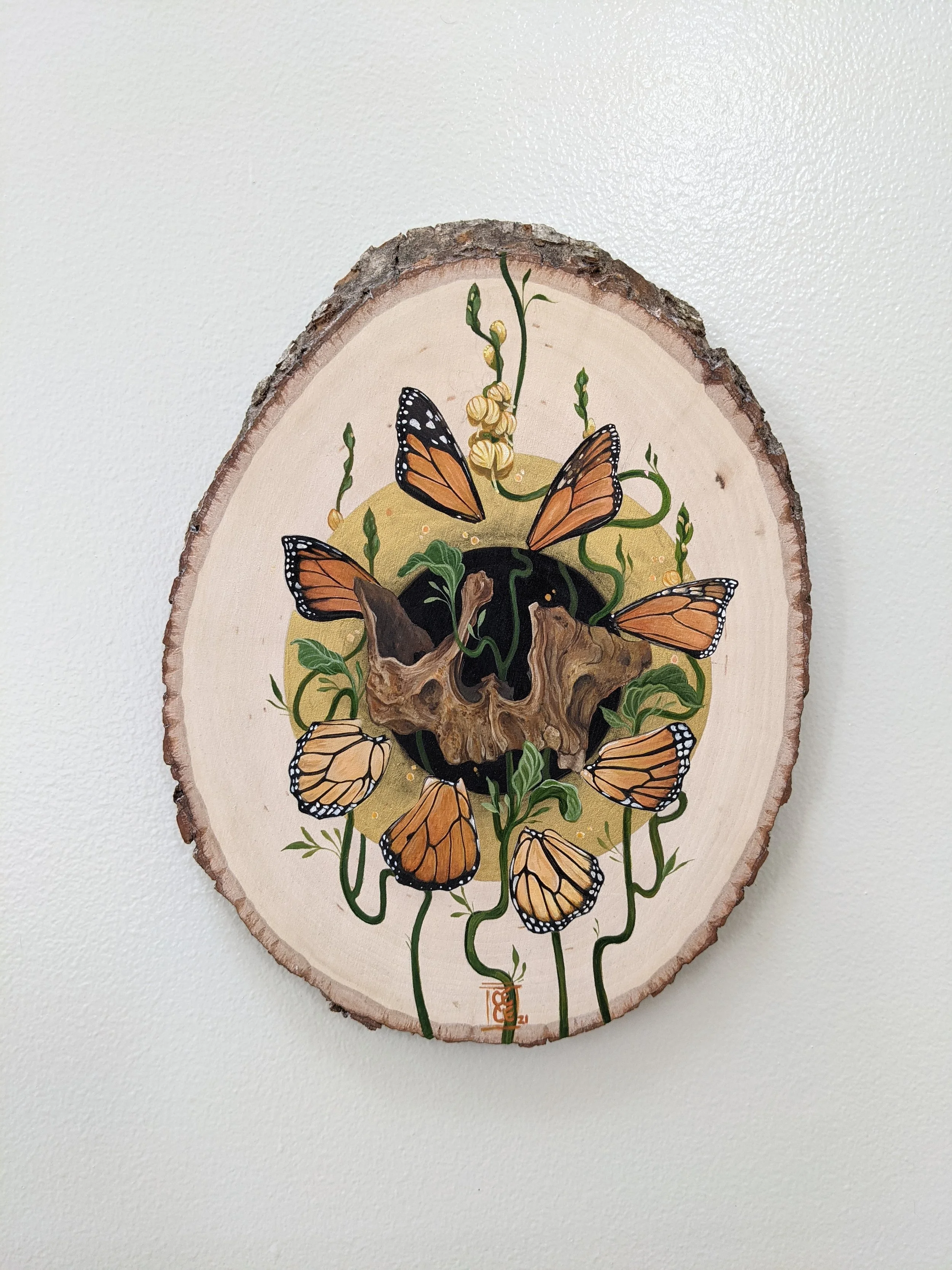 CeceliaWilken.ButterflyWingSkull.jpg