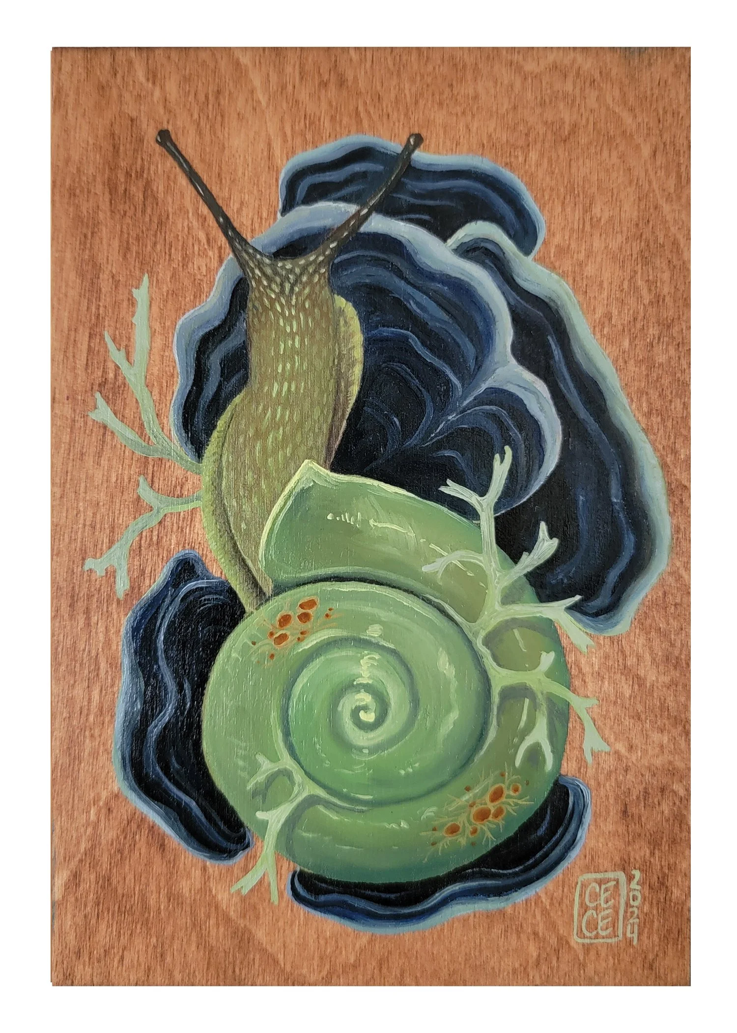 Snail07.jpg