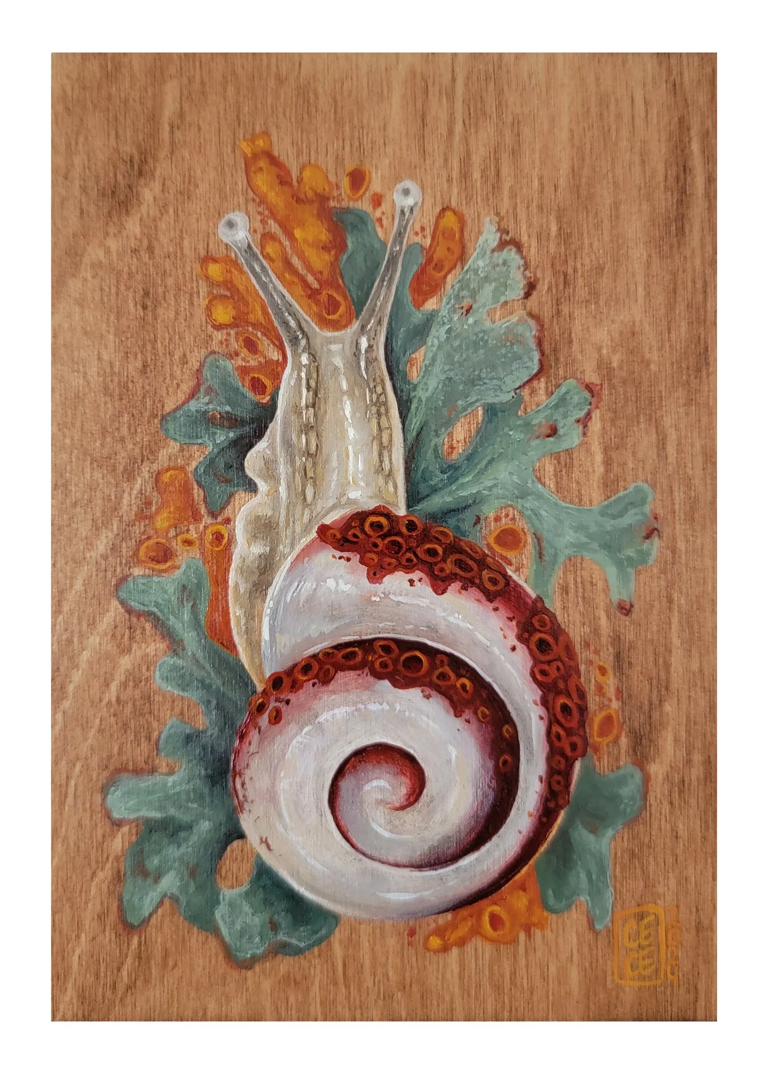 Snail08.jpg