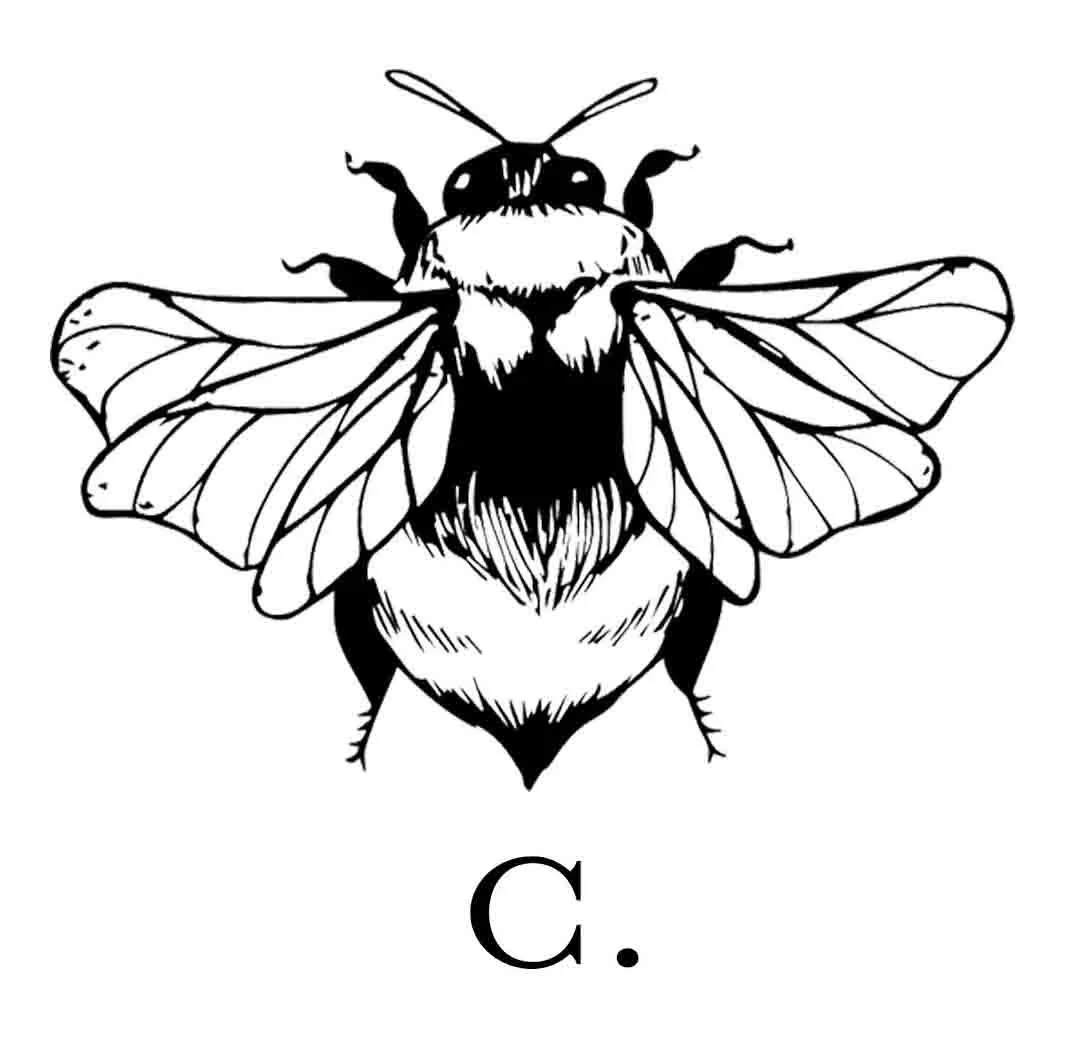 SingleCB. website.jpg