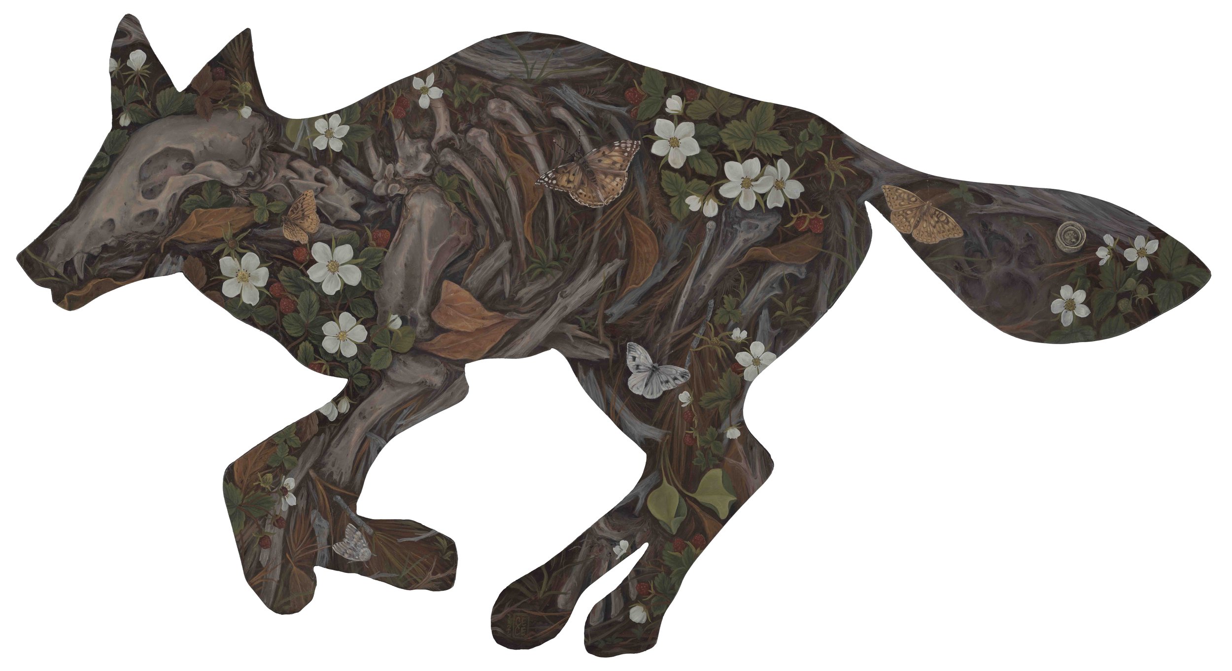 StrawberryFeilds.Coyote.jpg
