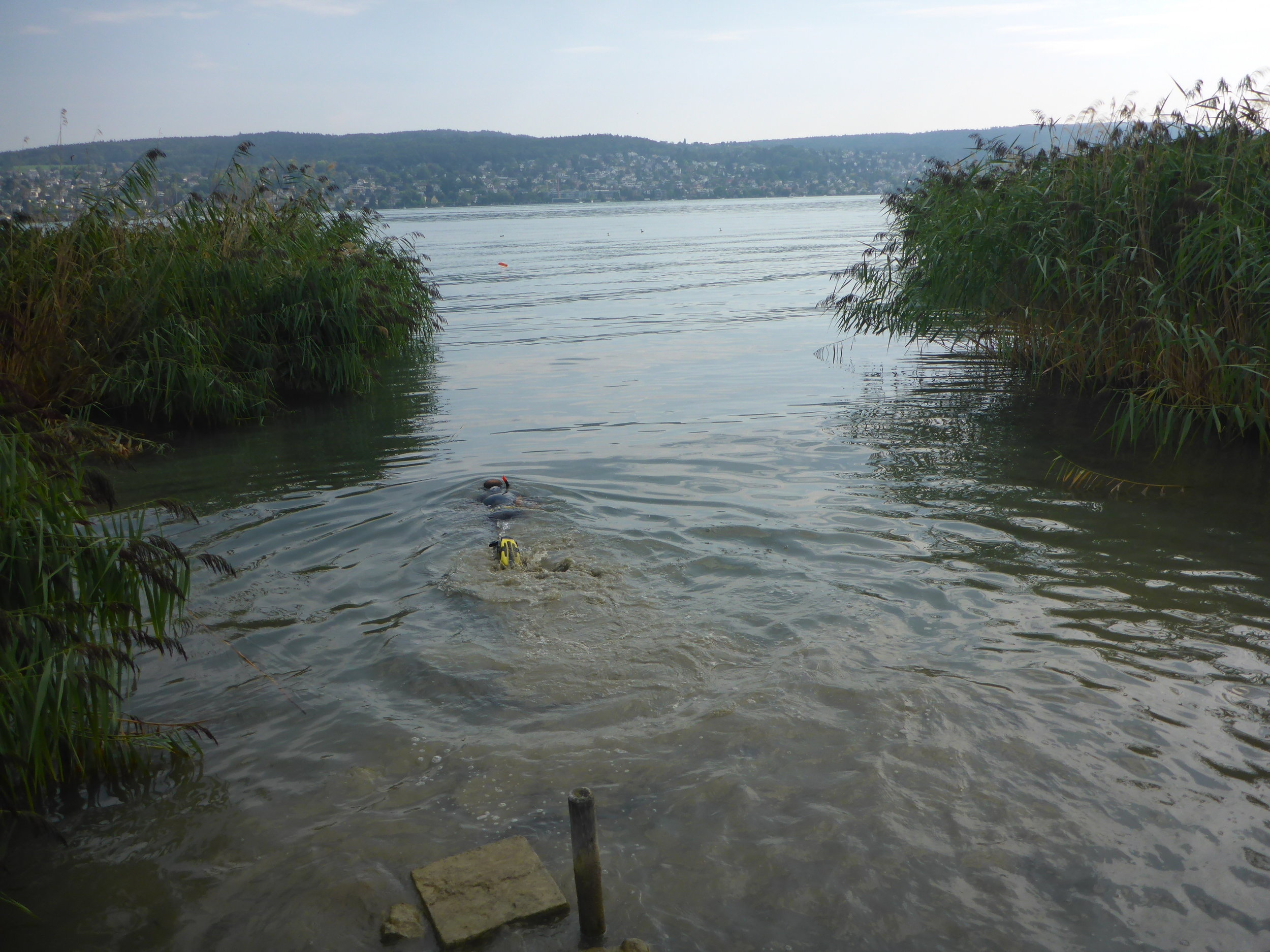  Remo beim Schnorcheln entlang des Transekts 
