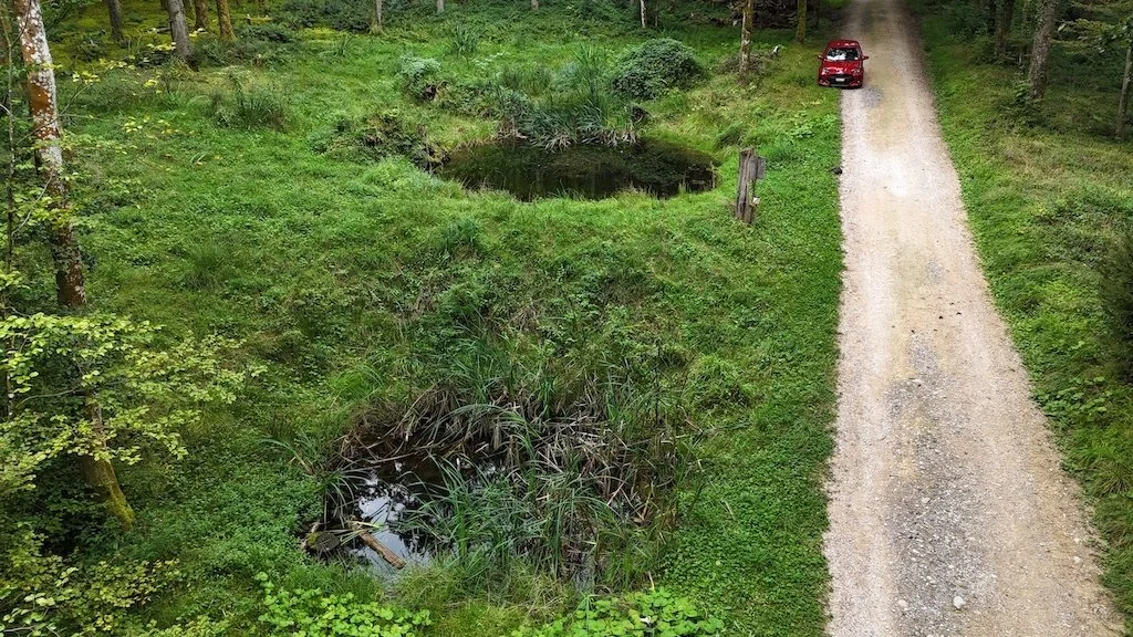  mit Kalkstabi gebaute Weiher im Gönert, Aarau 