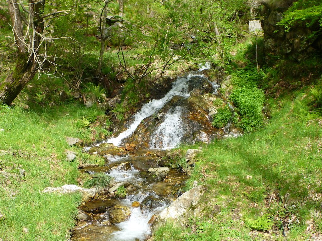  Ri de Buffalora, einem Zufluss der Moesa südlich des San Bernadinos. 