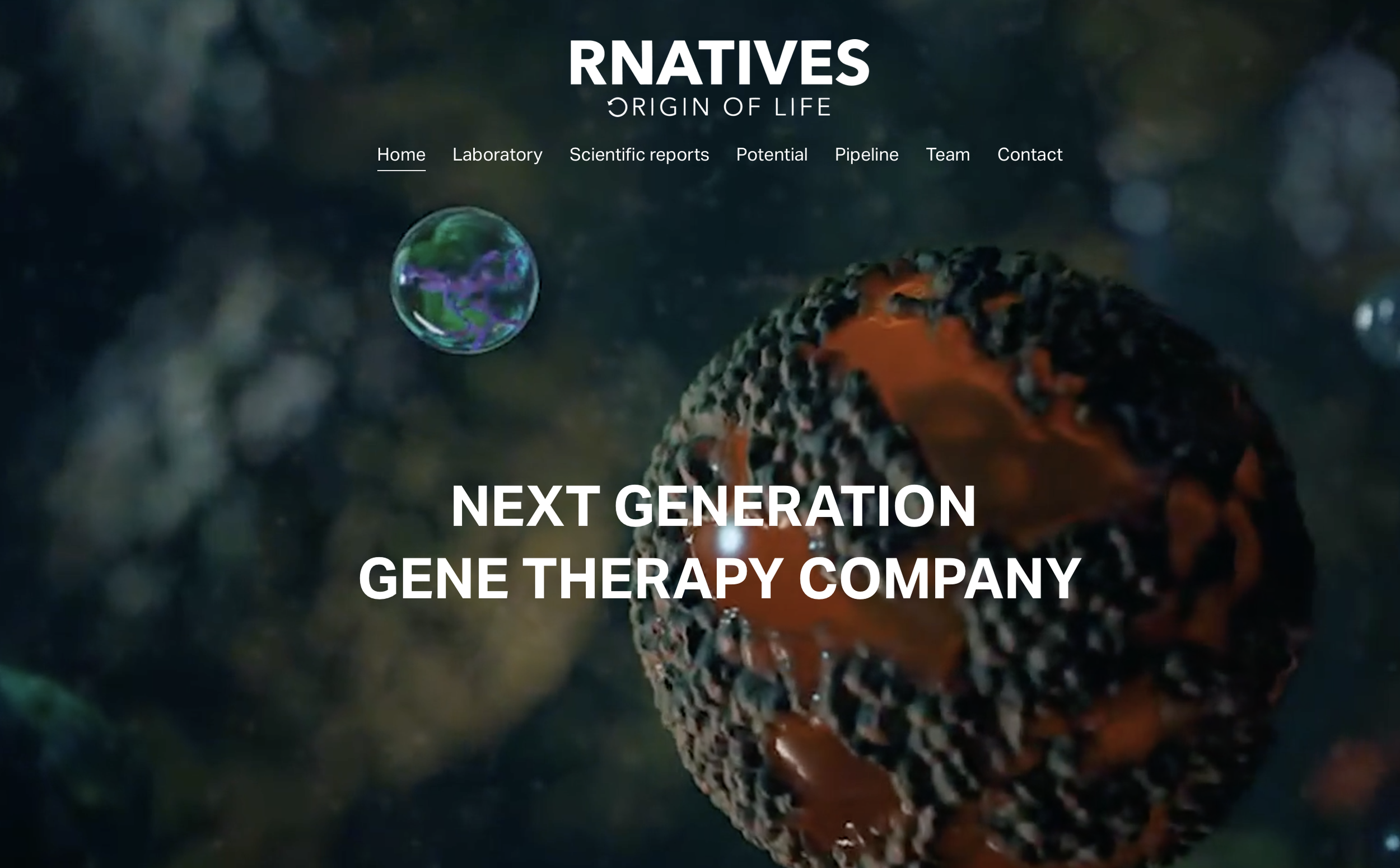 rnatives.com.png