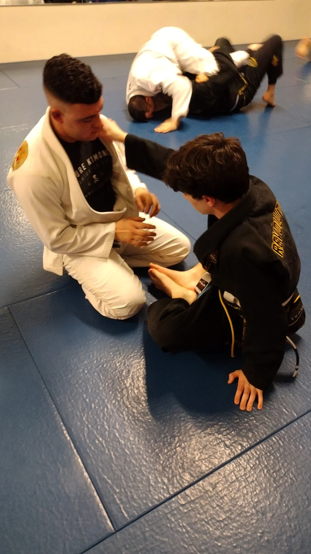 Brazilian Jiu-Jitsu class in session