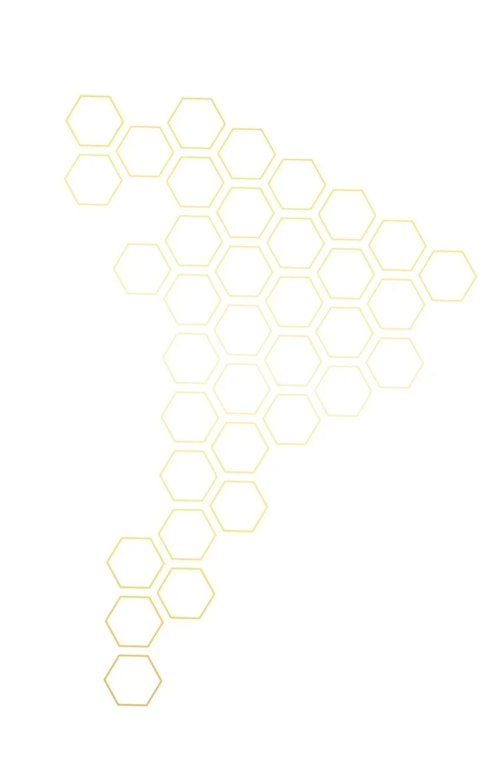 Honeycomb-16.jpg