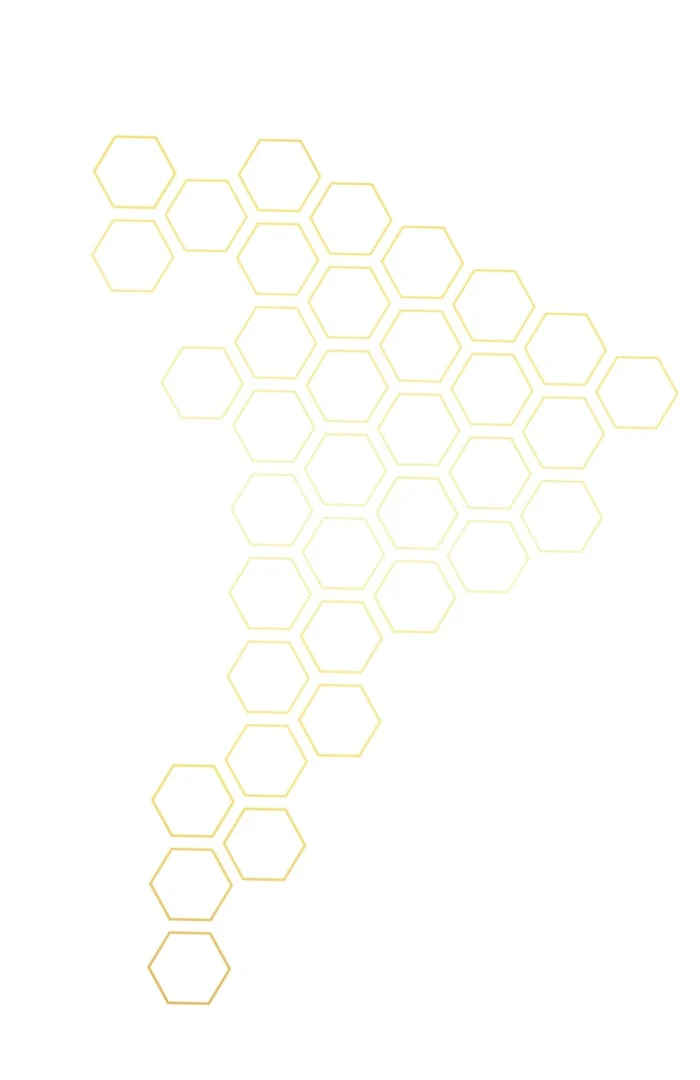 Honeycomb-16.jpg