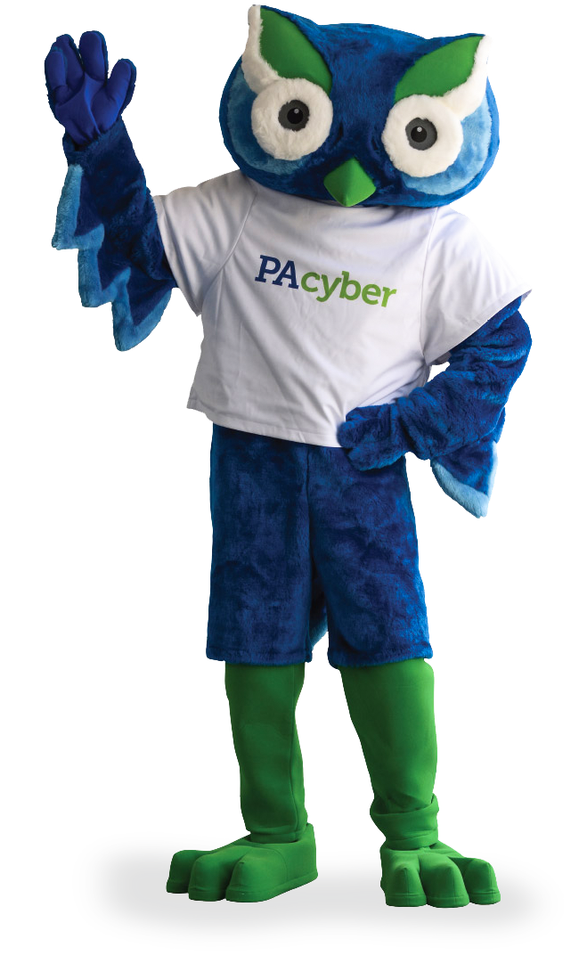 Case Study PA Cyber School Mind Brain Parenting case-study-pa-cyber-school-mind-brain-parenting