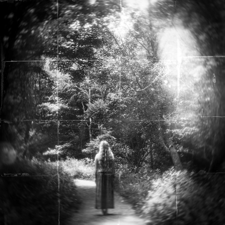 The Wanderer