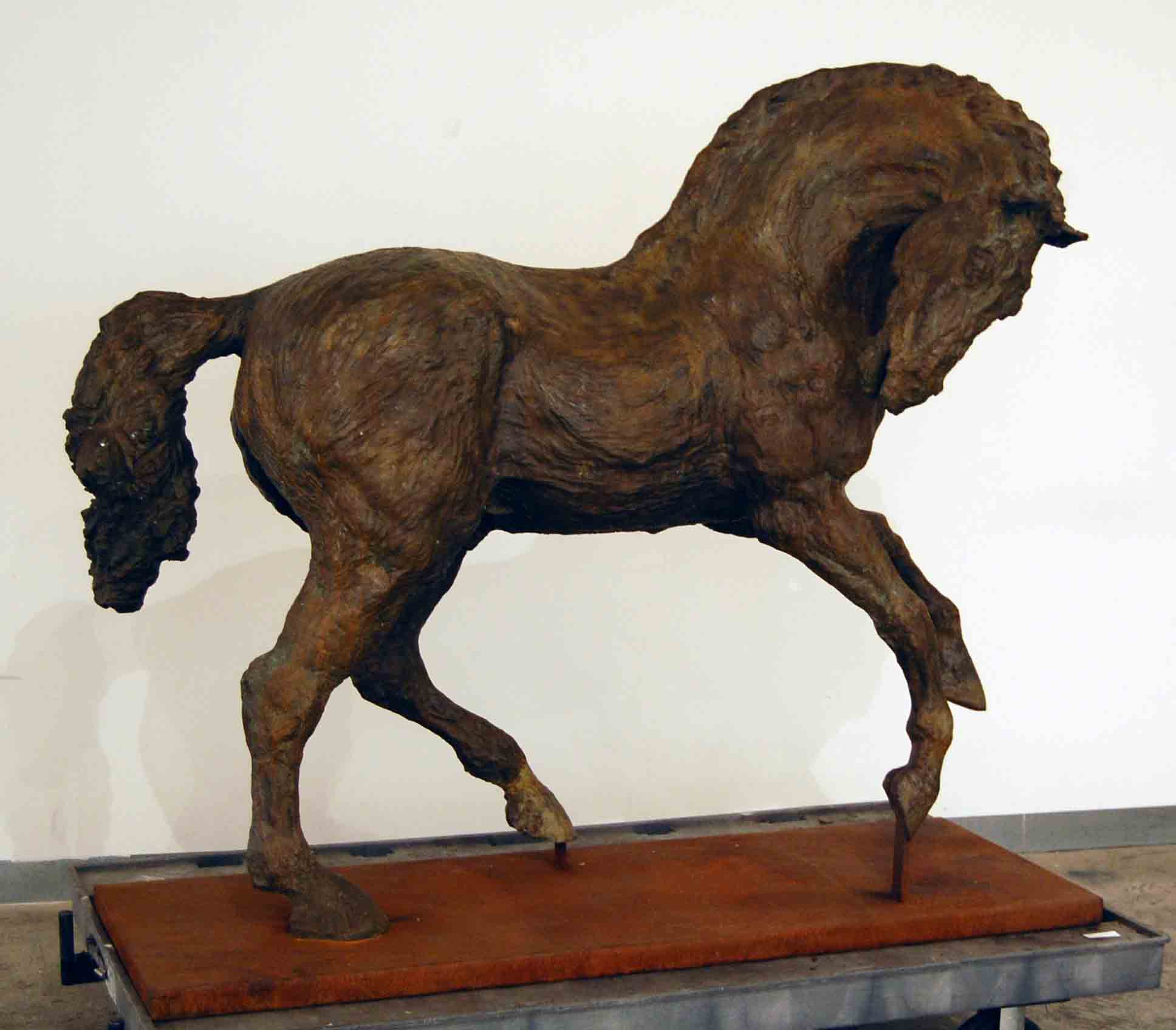 Horse Turning Head to the Right