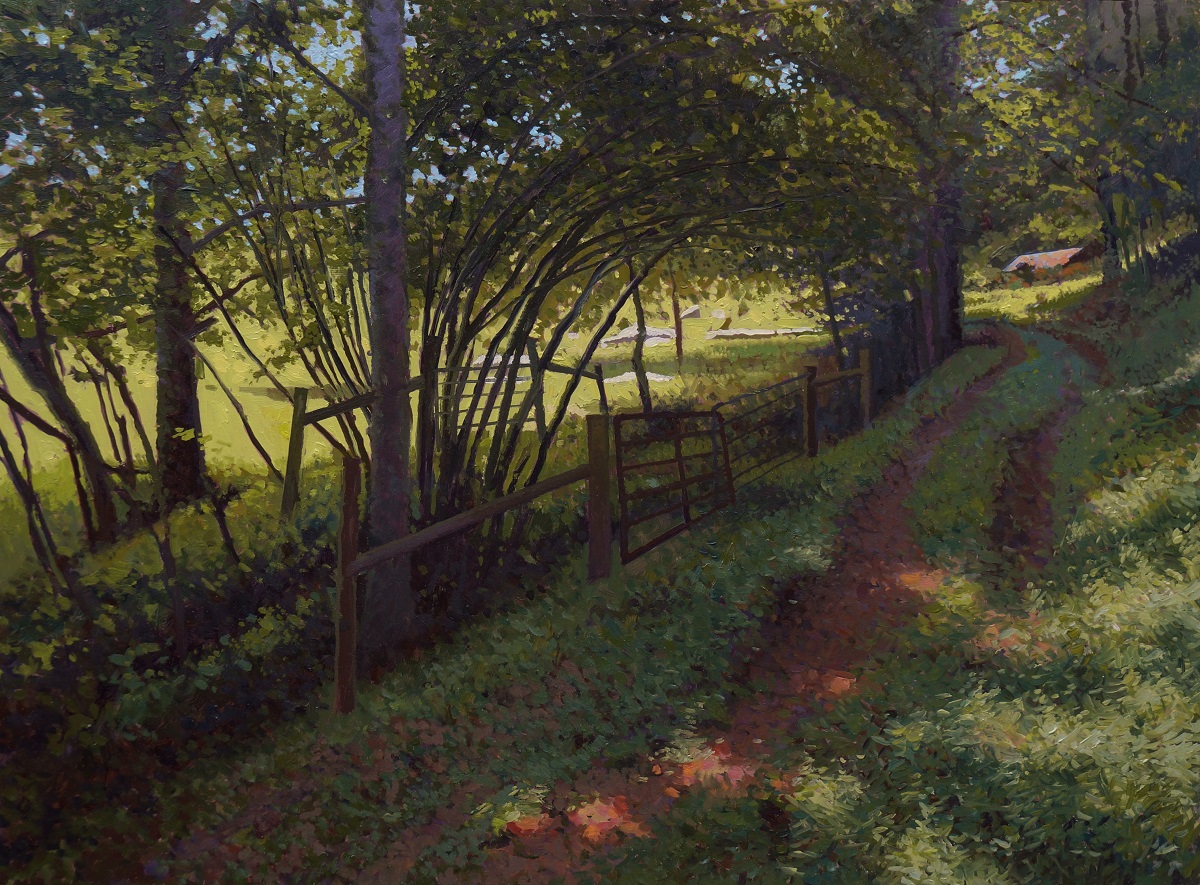A Pathway in the Woods