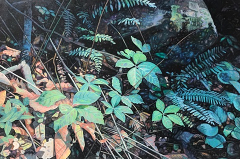 Forest Light