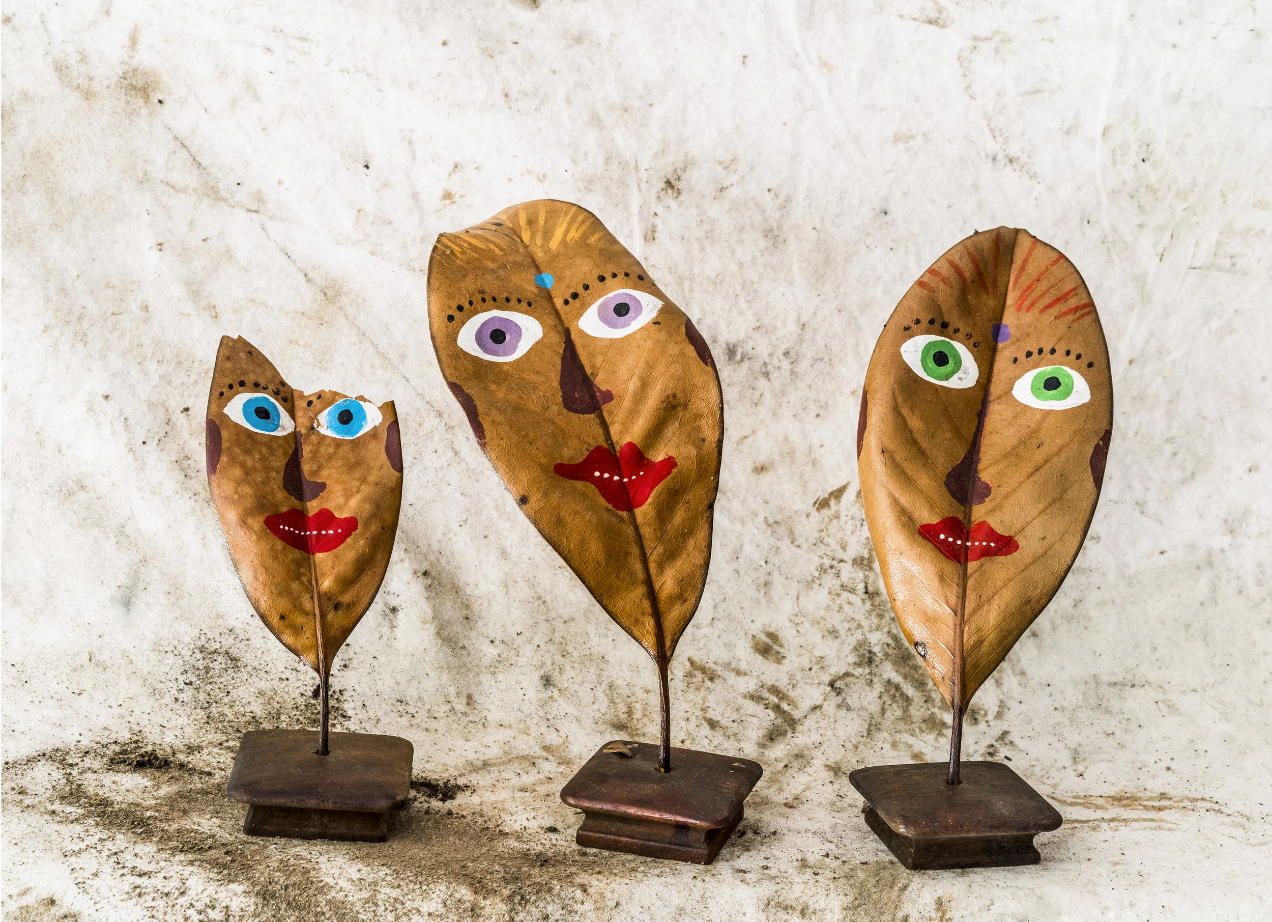 LeafFaces.jpg