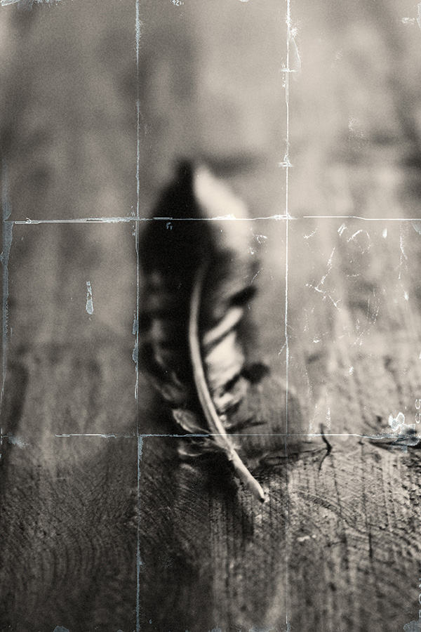 Feather