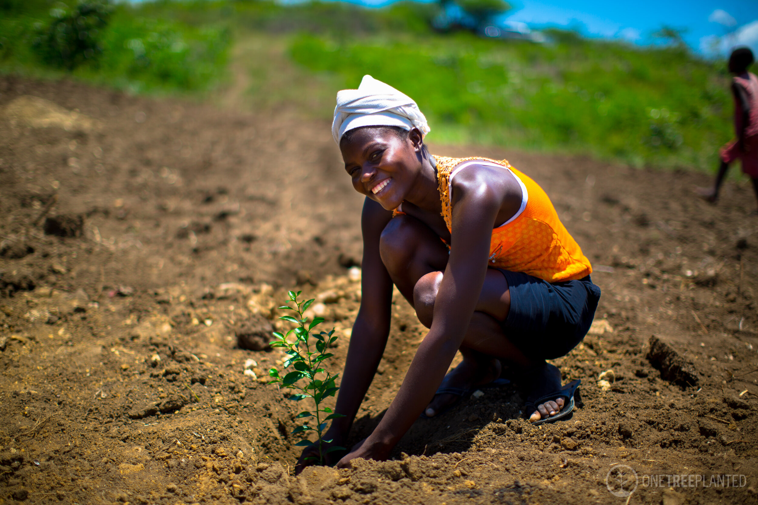 One Tree Planted-9 copy.jpg