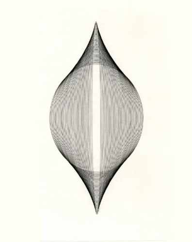 Ellipses , ink on paper, 23x29 inches