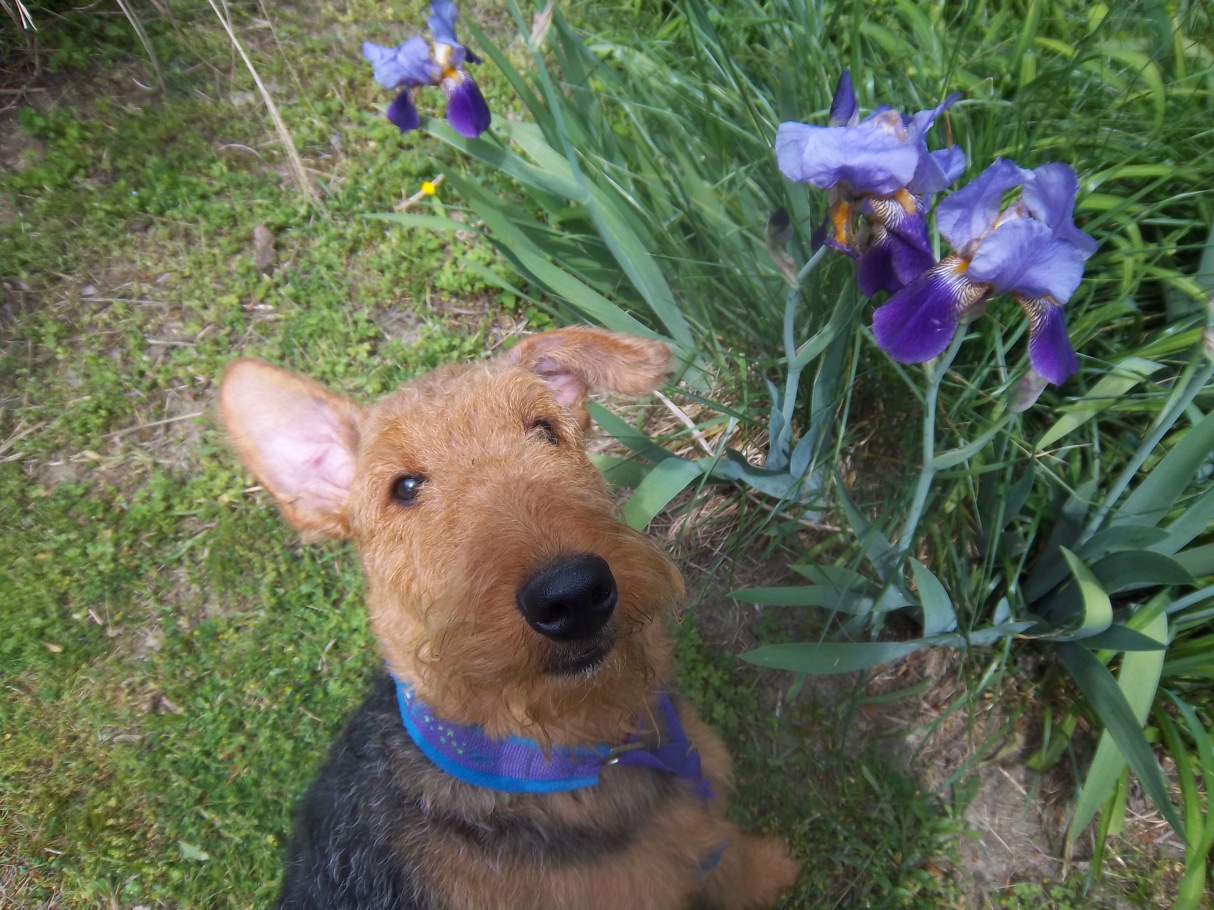  There’s always time to smell the posies! 