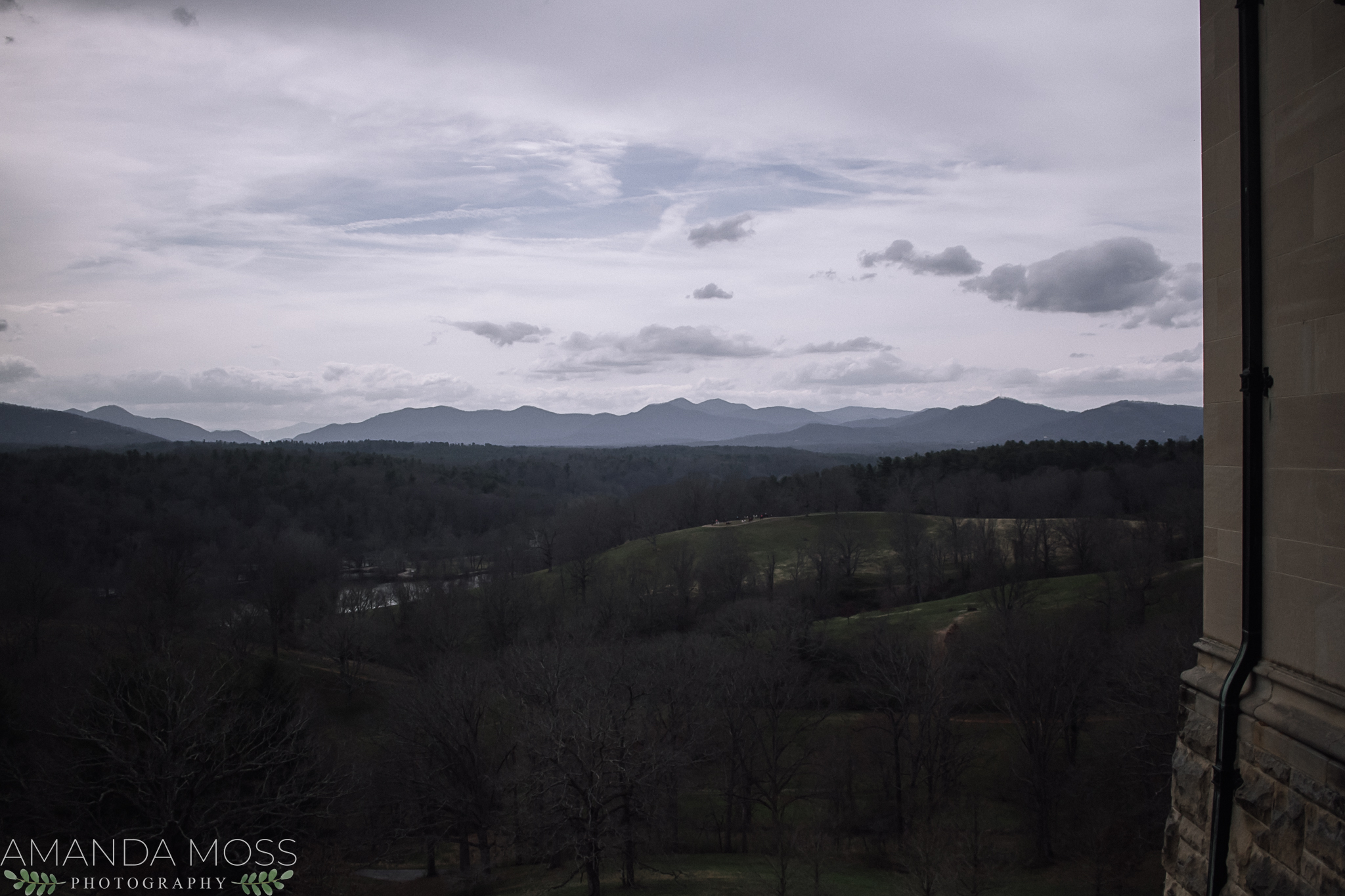 biltmore estate