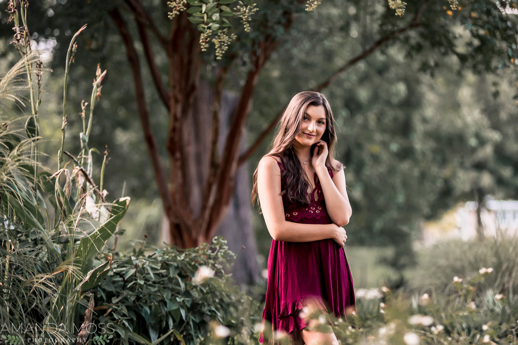 charlotte north carolina south carolina wedding portrait photographer senior session glencairn gardens