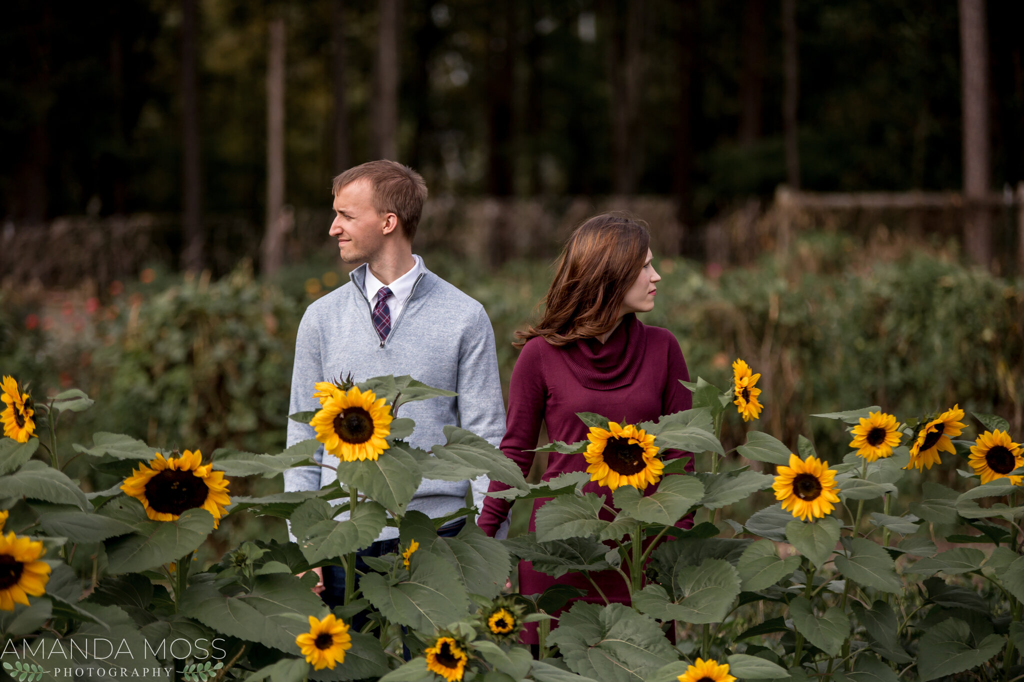 charlotte north carolina wedding portrait photographer fall mini sessions renfrow farms