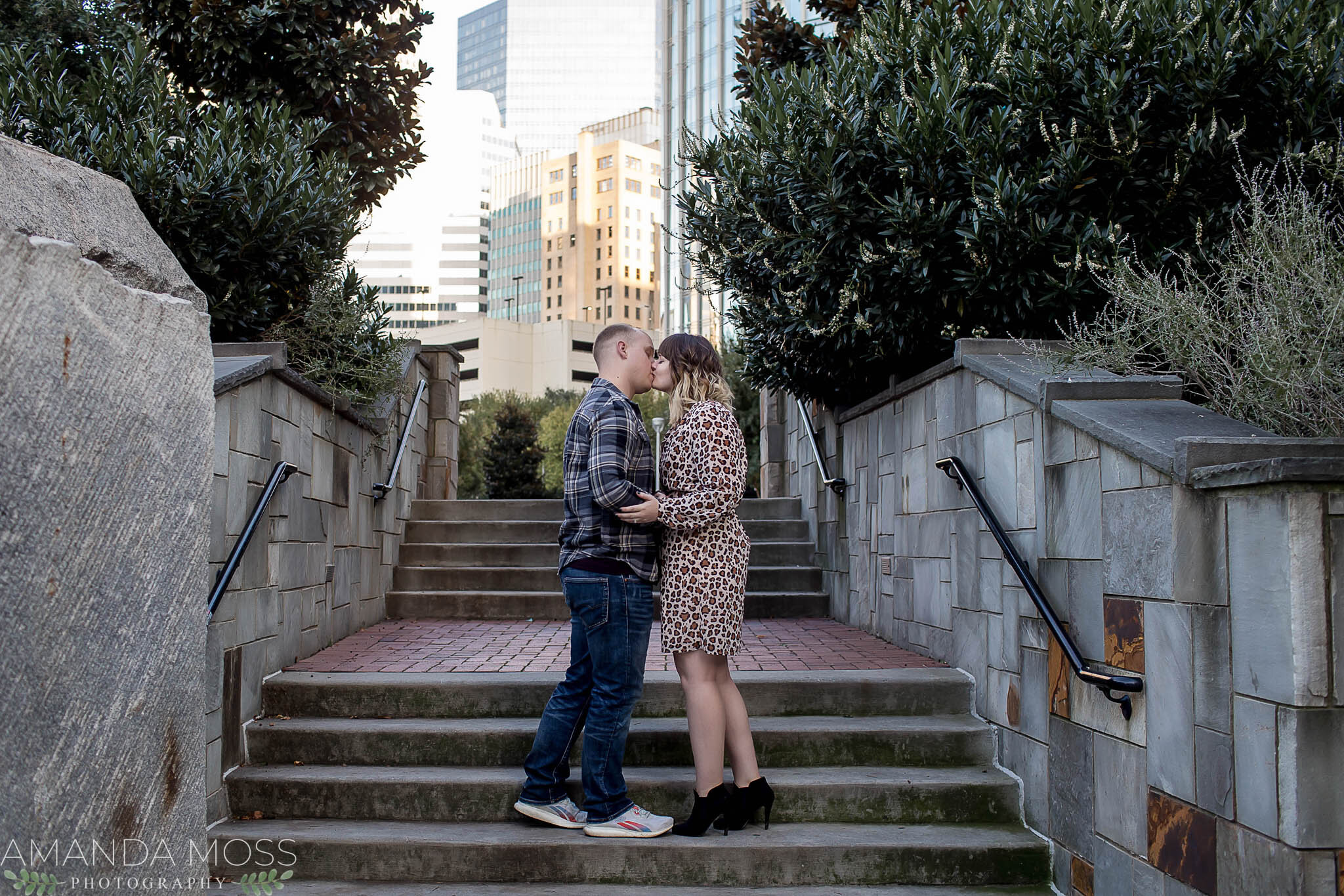 charlotte north carolina surprise proposal downtown romare bearden park